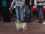     
: DSC00478.jpg
: 8
:	130.0 
ID:	8978025