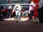     
: DSC00475.jpg
: 29
:	146.8 
ID:	8978027