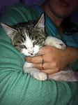     
: IMG_1601.jpg
: 7
:	111.8 
ID:	8979019