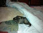     
: 03012012438.jpg
: 17
:	94.4 
ID:	8985256