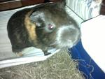     
: 17092011315.jpg
: 22
:	84.0 
ID:	8985260