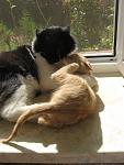     
: IMG_3144.jpg
: 13
:	100.3 
ID:	8985969
