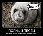    
: песец.jpg
: 14
:	77.7 
ID:	8987089