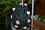     
: DSC_0418.jpg
: 4
:	108.9 
ID:	8991268
