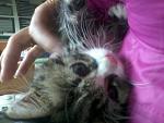     
: 2014-11-09 15.36.44.jpg
: 14
:	92.0 
ID:	8992067