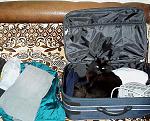     
: march-2010.jpg
: 59
:	75.1 
ID:	899346