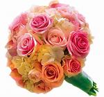     
: 009(1).jpg
: 11
:	48.0 
ID:	899726