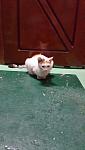     
: 20141110_222612_resized.jpg
: 16
:	53.9 
ID:	8998606