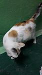     
: 20141110_222424_resized.jpg
: 16
:	47.7 
ID:	8998609