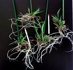     
: 20141104_172306.jpg
: 50
:	112.5 
ID:	9002503