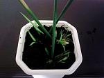     
: 20141104_172957.jpg
: 47
:	185.9 
ID:	9002654