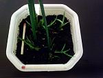    
: 20141104_175034.jpg
: 24
:	184.7 
ID:	9002690