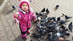     
: 20140223_113233.jpg
: 10
:	173.2 
ID:	9002754
