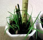     
: 20141111_202522.jpg
: 28
:	101.3 
ID:	9002822