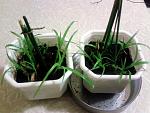     
: 20141111_202438.jpg
: 30
:	298.0 
ID:	9002823
