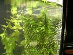     
: GEDC1746.jpg
: 34
:	140.2 
ID:	9003107