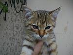     
: Изображение 009.jpg
: 53
:	120.0 
ID:	9003228
