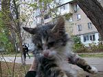     
: Изображение 026.jpg
: 42
:	215.3 
ID:	9003371