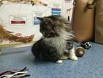     
: IMG_2298.jpg
: 7
:	151.3 
ID:	9003580