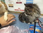     
: IMG_2284.jpg
: 6
:	137.4 
ID:	9003586