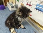     
: IMG_2293.jpg
: 6
:	142.3 
ID:	9003587