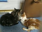    
: IMG_2325.jpg
: 6
:	128.3 
ID:	9003609