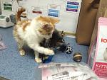     
: IMG_2288.jpg
: 4
:	127.7 
ID:	9003629