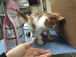     
: IMG_2310.jpg
: 5
:	140.8 
ID:	9003647