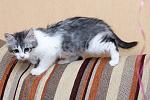     
: DSC_2956.jpg
: 99
:	182.8 
ID:	9003678