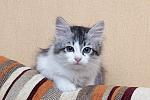     
: DSC_2955.jpg
: 103
:	135.6 
ID:	9003680