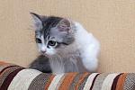     
: DSC_2951.jpg
: 103
:	149.1 
ID:	9003681