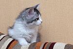     
: DSC_2953.jpg
: 120
:	162.2 
ID:	9003682