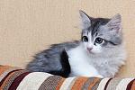     
: DSC_2950.jpg
: 167
:	156.3 
ID:	9003683