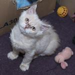    
: DSC_2932.jpg
: 119
:	62.3 
ID:	9003688