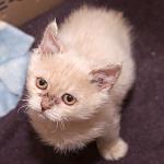     
: DSC_2937.jpg
: 107
:	71.5 
ID:	9003689