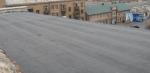     
: 2014-11-12_081859.jpg
: 6
:	57.3 
ID:	9004147