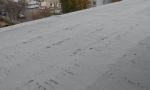    
: 2014-11-12_081920.jpg
: 8
:	72.8 
ID:	9004148