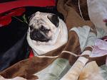     
: DSC00434.jpg
: 24
:	143.4 
ID:	9006298