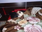     
: DSC00433.jpg
: 32
:	115.6 
ID:	9006310