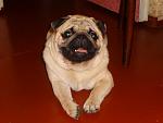     
: DSC00446.jpg
: 31
:	87.5 
ID:	9006311