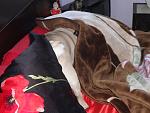     
: DSC00437.jpg
: 40
:	144.6 
ID:	9006316