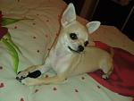     
: 20141112_192148.jpg
: 7
:	127.2 
ID:	9007445