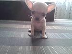     
: 20140713_200808.jpg
: 9
:	156.4 
ID:	9007476