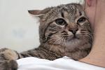     
: DSC_2943.jpg
: 29
:	103.2 
ID:	9007997