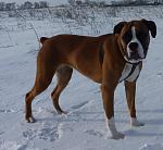     
: P1000833_1.jpg
: 32
:	128.4 
ID:	901092