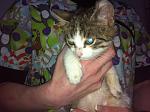     
: IMG_1640.jpg
: 9
:	109.7 
ID:	9011268