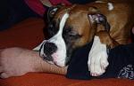     
: P1000755_1.jpg
: 41
:	142.9 
ID:	901137