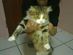     
: 111120141708.jpg
: 13
:	93.7 
ID:	9012678