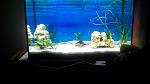     
: image~14359.jpg
: 23
:	81.3 
ID:	9012831