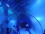     
: 2014-11-08 16.16.46.jpg
: 15
:	113.9 
ID:	9013702